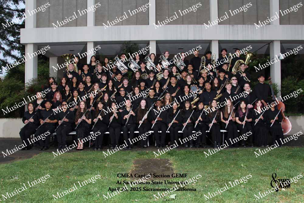 Musical Images
